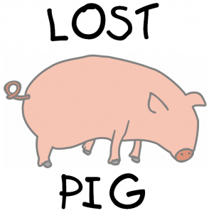 lost_pig